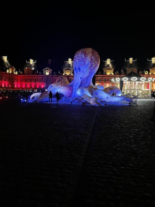 Superbe T2 A 200M De La Place Ducale Charleville-Mézières Exterior foto